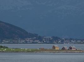 primavera in Norvegia foto