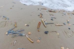 Immagine di conchiglie e pietre su un' nord mare spiaggia nel Danimarca nel inverno foto