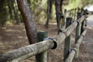 di legno ringhiera nel foresta foto