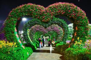 dubai miracolo giardino cuore forma Visualizza foto