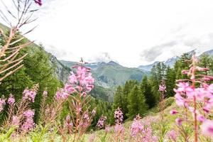 sorprendente montagna paesaggio con nuvoloso cielo, naturale all'aperto viaggio sfondo. bellezza mondo. foto