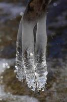 ghiaccioli nel un' piccolo foresta fiume foto