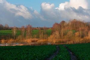 naturale autunno paesaggi nel Lettonia foto