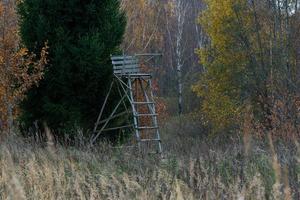 naturale autunno paesaggi nel Lettonia foto