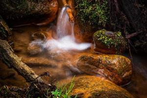 un' piccolo foresta ruscello con arenaria scogliere e pietre foto