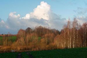 naturale autunno paesaggi nel Lettonia foto