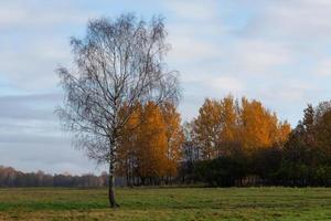 naturale autunno paesaggi nel Lettonia foto