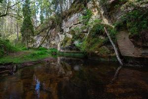 un' piccolo foresta ruscello con arenaria scogliere e pietre foto