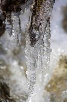 ghiaccioli nel un' piccolo foresta fiume foto