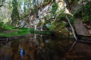 un' piccolo foresta ruscello con arenaria scogliere e pietre foto