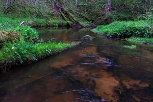 un' piccolo foresta ruscello con arenaria scogliere e pietre foto