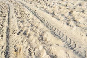 solchi di un scavatrice nel il spiaggia sabbia nel Messico. foto