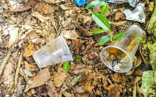 spazzatura rifiuto rifiuti e inquinamento nel natura nel Messico. foto