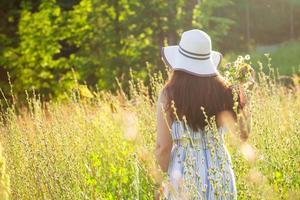 giovane donna raccolta fiori nel il prato nel estate sera, indietro Visualizza foto