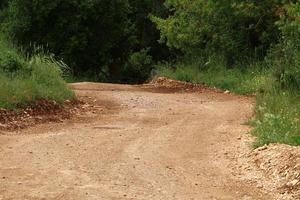 foresta nazione strada nel settentrionale Israele. foto