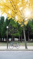 giallo foglia albero nel autunno e poco vecchio bicicletta. foto