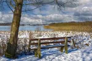 lago dreifelder weiher, westerwald, germania foto