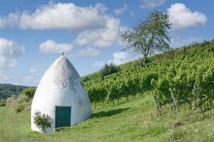 trullo nel vigneto vicino per flonheim, renano vino regione Germania foto