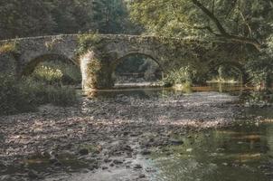 famoso storico nister ponte, westerwald, germania foto