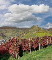 vino villaggio di mayschoss, ahrtal, germania foto
