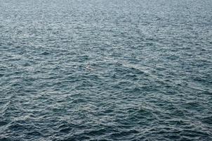 mare acqua avvicinamento foto