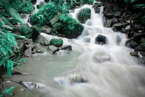 il bellezza di un' ruscello fluente nel un' rurale la zona nel bali. foto