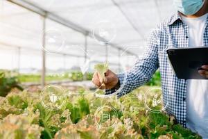 uomo mani giardinaggio lattuga nel azienda agricola con crescita processi e chimico formula su verde sfondo. con vr icona foto