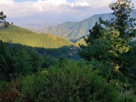 verde montagne con alberi e nuvole foto