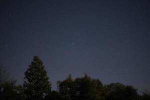 notte cielo lungo esposizione stelle e sfocato alberi foto
