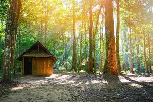 vecchio storico villaggio di legno Casa cabina Villetta nel il verde foresta con albero circondare foto