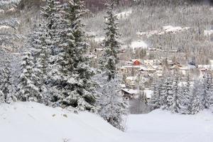 bellissimo norvegese inverno paesaggio a partire dal sciare pendenza su valle di hemsedal buskerud Norvegia, stagionale cartolina, carta da parati, stampa per tela, copertina design foto