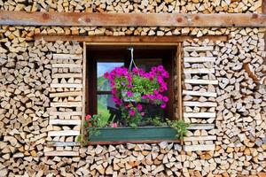 viaggio per sankt-wolfgang, Austria. il finestra con il fiori a il di legno Casa. foto
