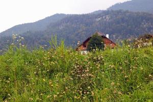 viaggio per sankt-wolfgang, Austria. il verde prato con il case nel il montagne. foto