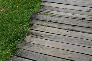 giardino di legno sentiero con verde erba sfondo, copyspace. foto