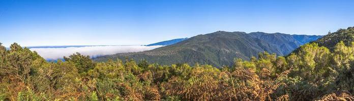 panoramico immagine al di sopra di il ruvido portoghese isola di Madera nel estate foto