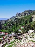 un' piccolo villaggio nel il montagna foto