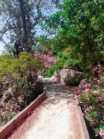 piccolo ponte al di sopra di il valle tra il fiori foto