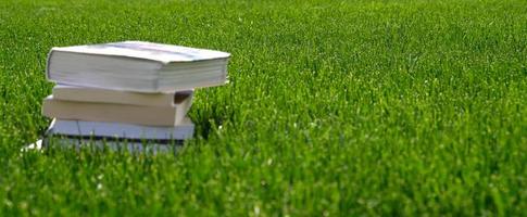 pila di libri nel il verde erba su il campo su soleggiato giorno. lettura e conoscenza concetto. bandiera con copia spazio per testo. indietro per scuola. mucchio di Vintage ▾ vecchio cartonato libri. foto