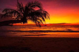 silhouette di bellissimo tramonto su il mare spiaggia con palma albero per viaggio nel vacanza rilassare volta, foto