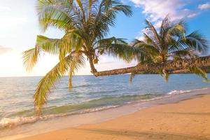 palma albero su il tropicale spiaggia con un' bellissimo mare Visualizza su blu cielo natura sfondo