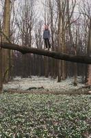 coraggioso signora in piedi su albero tronco al di sopra di radura panoramico fotografia foto