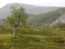 il bellezza di Norvegia foto