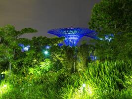 immagine di giardini di il baia parco nel Singapore durante ore notturne nel settembre foto