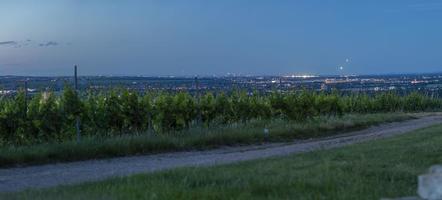 panoramico Visualizza al di sopra di reno-meno la zona e francoforte a tramonto a partire dal vigneto vicino mainz nel Germania nel estate foto