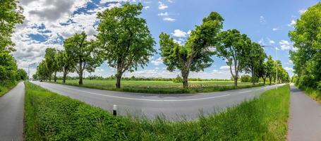 panoramico Immagine di viale alberi lungo un' federale autostrada nel Germania durante giorno foto