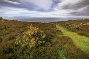 il naturale paesaggio di Cornovaglia, Inghilterra. foto