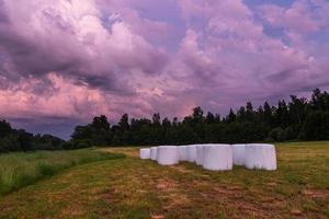 estate paesaggi con fiume nel Lettonia foto