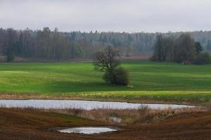 lettone primavera paesaggi foto