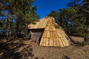 turistico foresta case nel Estonia foto