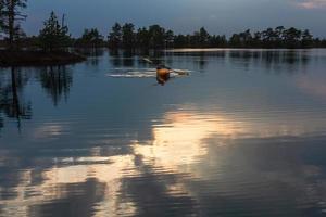 palude lago nel primavera foto